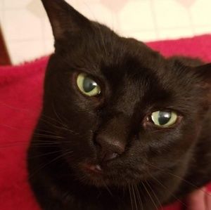 Meet your Posher, Rick